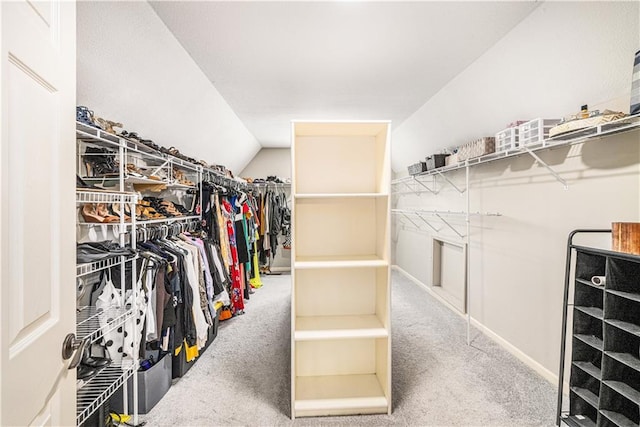 7325 Oakview St, Shawnee, KS 66216 - walk in closet with carpet flooring and lofted ceiling