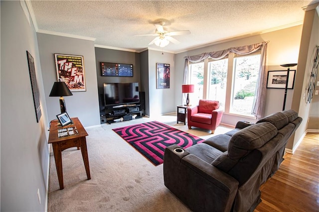 living area with a ceiling fan, ornamental molding, a textured ceiling, and baseboards