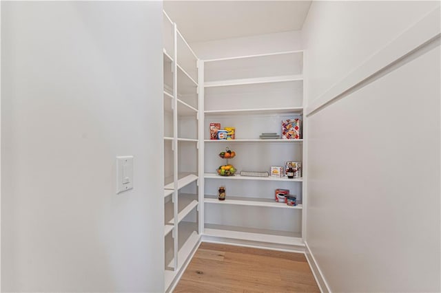 view of pantry
