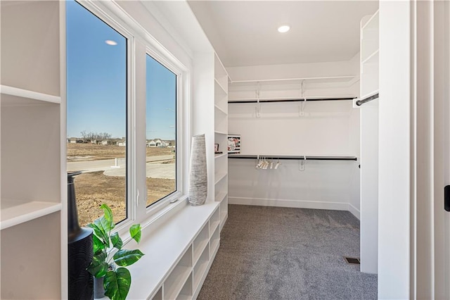 walk in closet featuring carpet