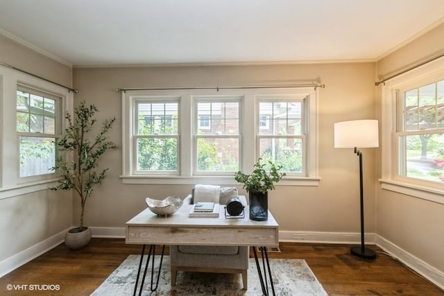 5825 Rockhill Rd, Kansas City, MO 64110 - office space with dark wood-style flooring, crown molding, and baseboards