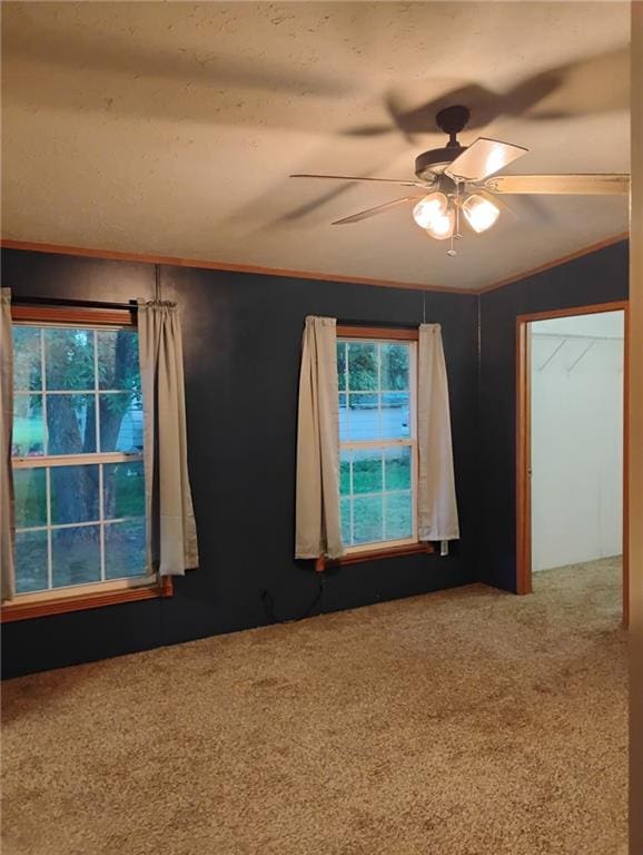 217 E 6th St, Erie, KS 66733 - photo 11