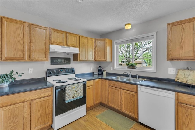 kitchen with dark countertops, a sink, under cabinet range hood, and white appliances