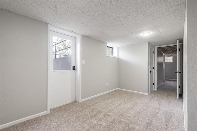 basement featuring baseboards, carpet floors, and a drop ceiling
