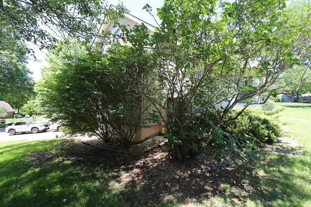 1313 NW 12th St, Blue Springs, MO 64015 - view of grassy yard