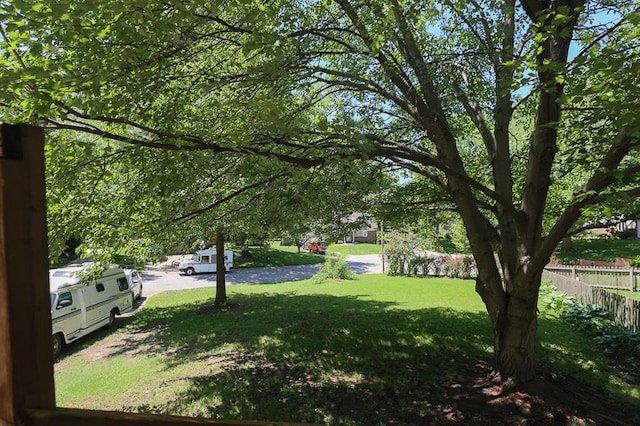 1313 NW 12th St, Blue Springs, MO 64015 - view of yard
