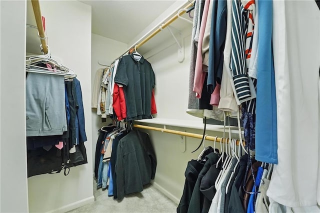 walk in closet featuring carpet flooring