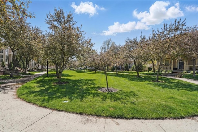 view of property's community with a lawn