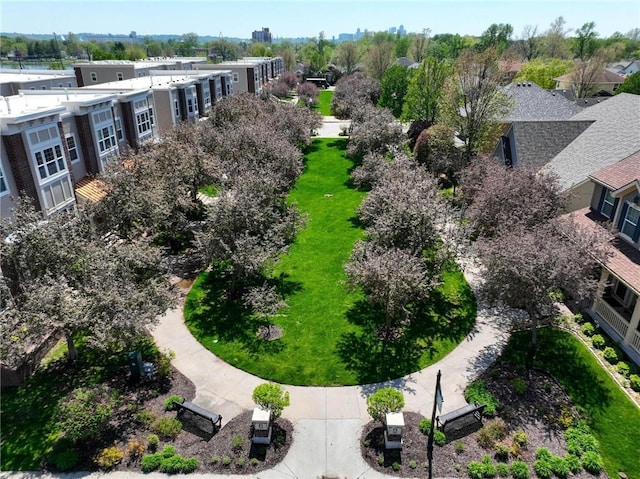bird's eye view