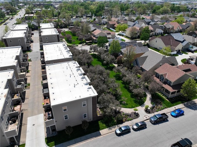 drone / aerial view