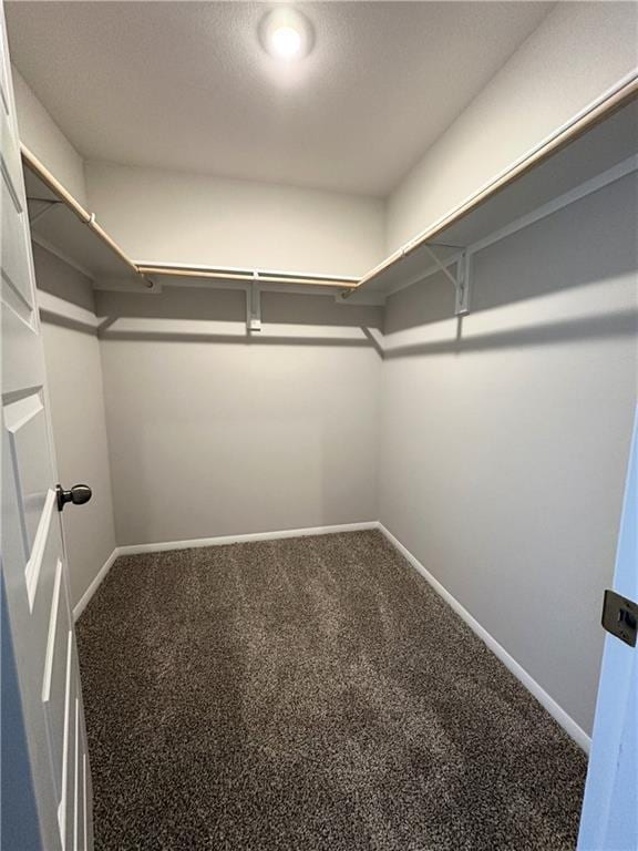 37806 W 207th Ter, Edgerton, KS 66021 - spacious closet featuring carpet floors