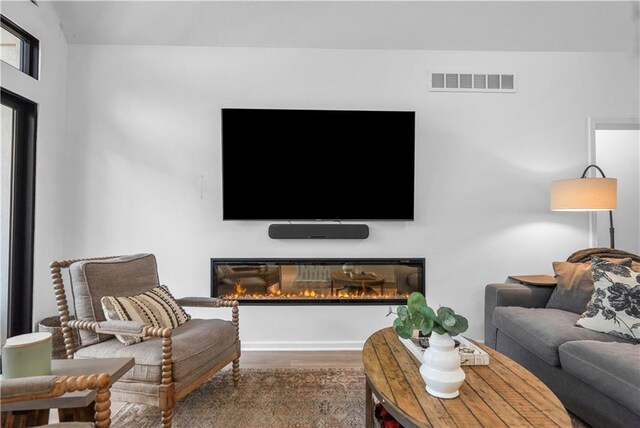 38 Lakeview Ln, Linn Valley, KS 66040 - living area featuring wood finished floors and a glass covered fireplace