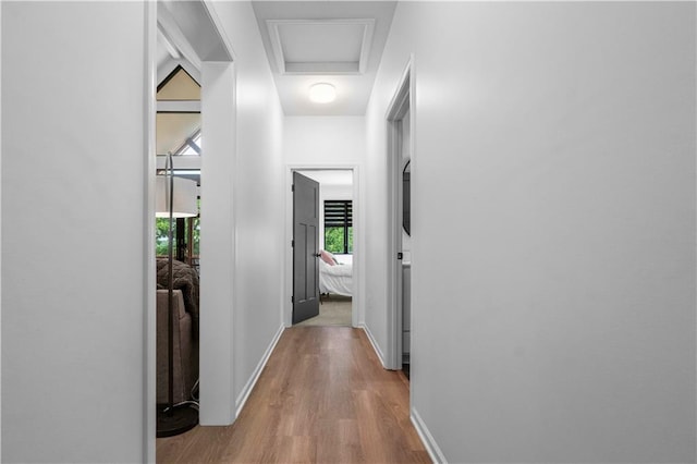38 Lakeview Ln, Linn Valley, KS 66040 - hallway featuring wood finished floors and baseboards