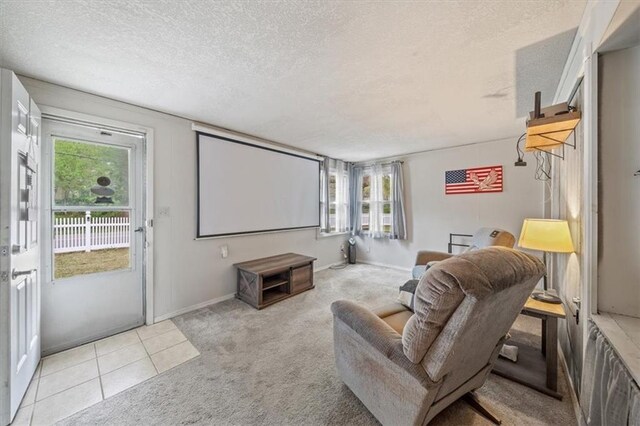 4401 N Holmes St, Kansas City, MO 64116 - home theater room with light carpet, a textured ceiling, light tile patterned floors, and a healthy amount of sunlight