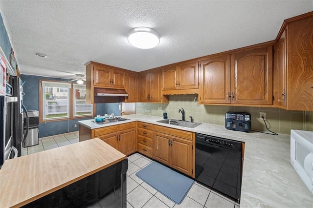 4401 N Holmes St, Kansas City, MO 64116 - kitchen featuring light countertops, dishwasher, under cabinet range hood, and a sink