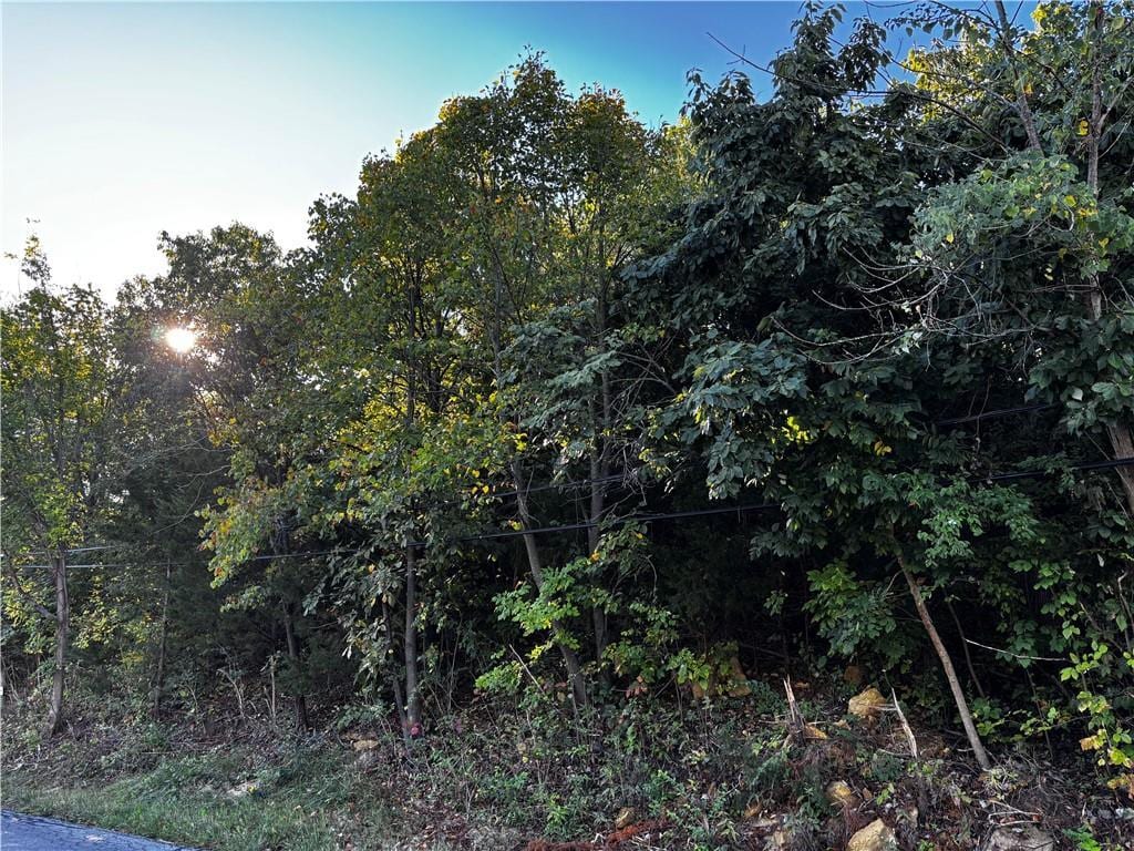 13111 Metropolitan Ave, Bonner Springs, KS 66012