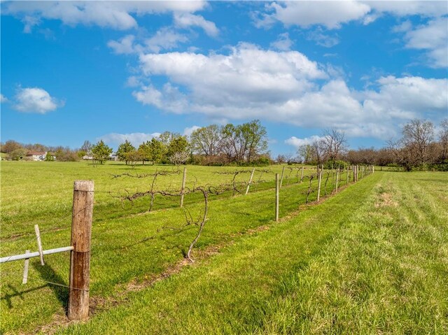 611 NW 1421st Rd, Holden, MO 64040 - view of yard with a rural view