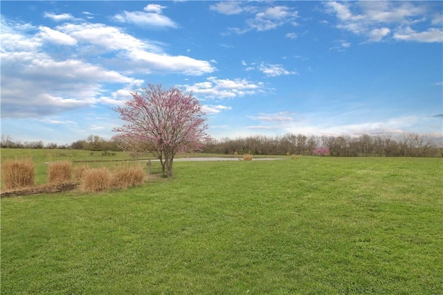 611 NW 1421st Rd, Holden, MO 64040 - view of grassy yard featuring a rural view