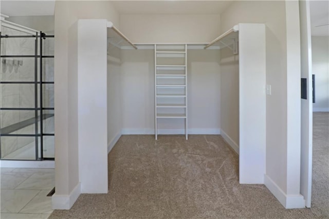 611 NW 1421st Rd, Holden, MO 64040 - spacious closet with carpet flooring