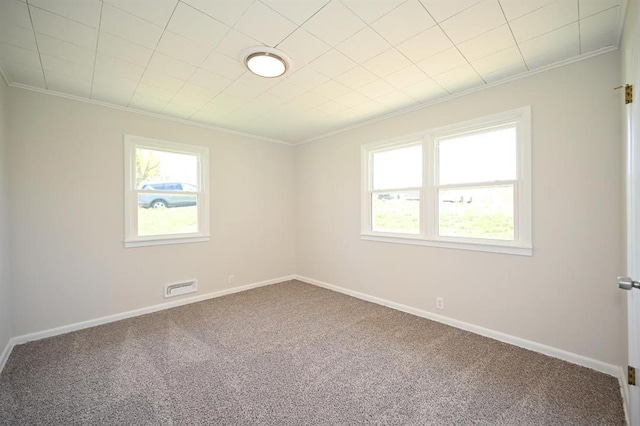 carpeted spare room featuring crown molding, visible vents, a wealth of natural light, and baseboards