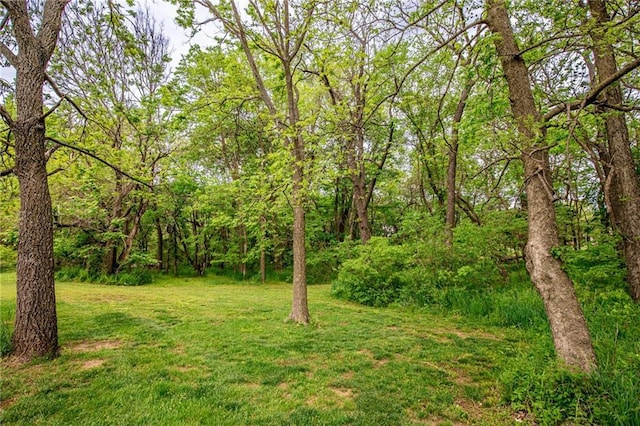 25477 Crestview Dr, Paola, KS 66071 - view of green lawn featuring a wooded view