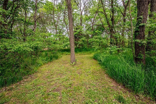 25477 Crestview Dr, Paola, KS 66071 - view of yard featuring a wooded view