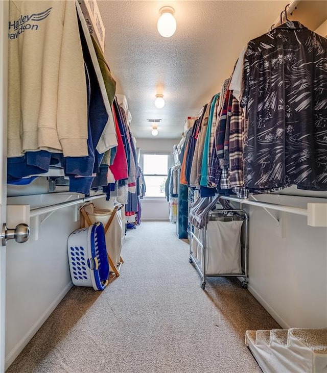 25477 Crestview Dr, Paola, KS 66071 - walk in closet featuring carpet floors