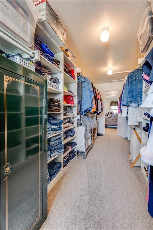 25477 Crestview Dr, Paola, KS 66071 - walk in closet featuring carpet floors
