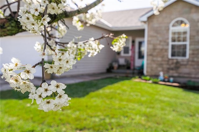 view of front of property with a front lawn