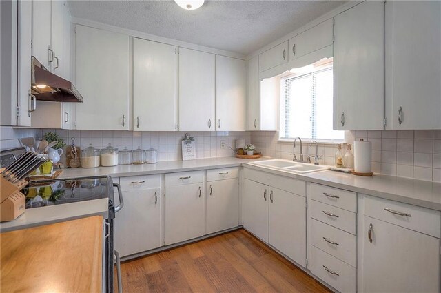 626 N 83rd Ter, Kansas City, KS 66112 - kitchen featuring light countertops, range with electric stovetop, under cabinet range hood, and a sink