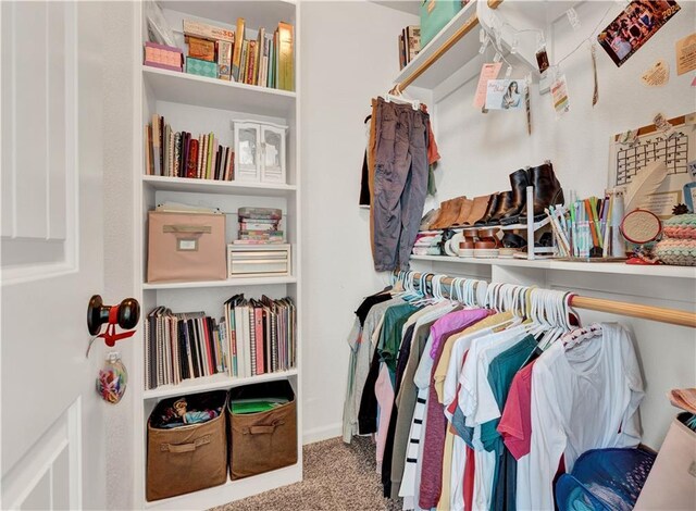 1237 Hillmann Ln, Warrensburg, MO 64093 - spacious closet with carpet floors