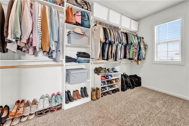 1237 Hillmann Ln, Warrensburg, MO 64093 - walk in closet featuring carpet flooring