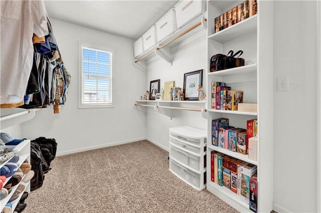 1237 Hillmann Ln, Warrensburg, MO 64093 - walk in closet with carpet floors