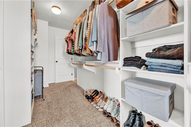 1237 Hillmann Ln, Warrensburg, MO 64093 - walk in closet featuring carpet floors