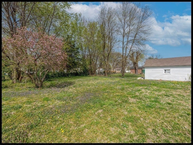 165 S Miami Ave, Marshall, MO 65340 - view of yard
