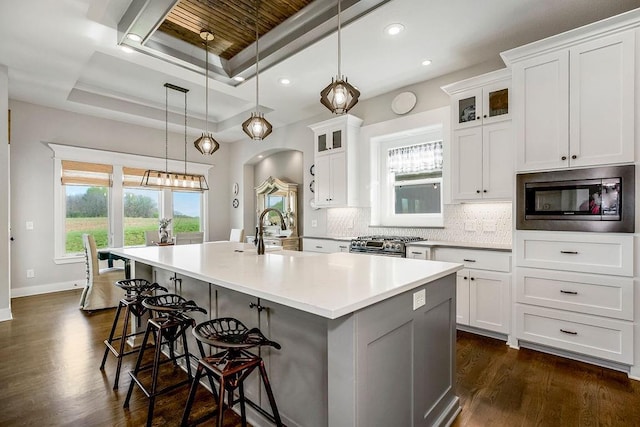 1904 NE 114th Ter, Kansas City, MO 64155 - kitchen featuring an island with sink, a breakfast bar area, a raised ceiling, stainless steel appliances, and a sink
