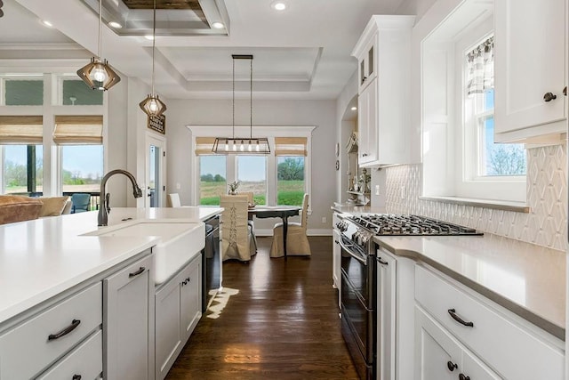 1904 NE 114th Ter, Kansas City, MO 64155 - kitchen featuring plenty of natural light, double oven range, a sink, and a raised ceiling