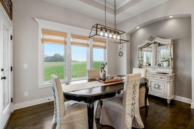 1904 NE 114th Ter, Kansas City, MO 64155 - dining area with dark wood-style flooring, a wealth of natural light, recessed lighting, and baseboards