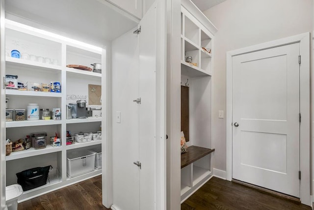 1904 NE 114th Ter, Kansas City, MO 64155 - mudroom with dark wood-style flooring