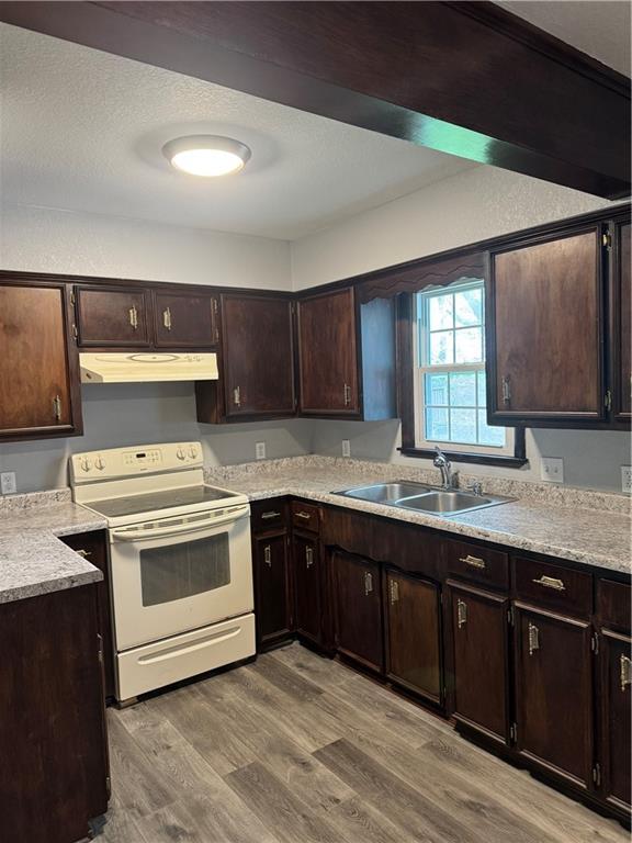 616 Prospect St, Excelsior Springs, MO 64024 - kitchen with white range with electric stovetop, dark brown cabinetry, a sink, wood finished floors, and under cabinet range hood