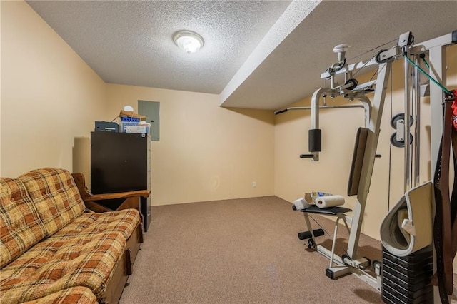 1301 Stonecrest Dr, Kearney, MO 64060 - workout area with carpet floors, a textured ceiling, and electric panel