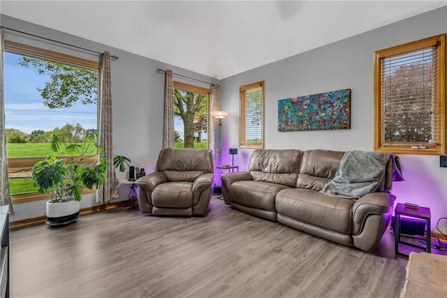 living room with wood finished floors