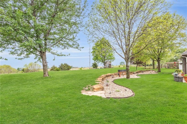 view of yard