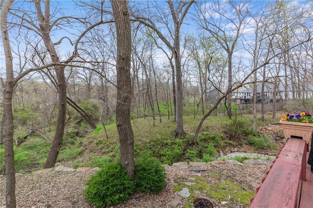 808 S Mohican Dr, Independence, MO 64056 - view of yard