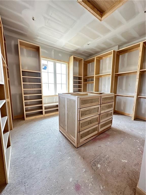 17216 Goddard St, Overland Park, KS 66221 - view of walk in closet