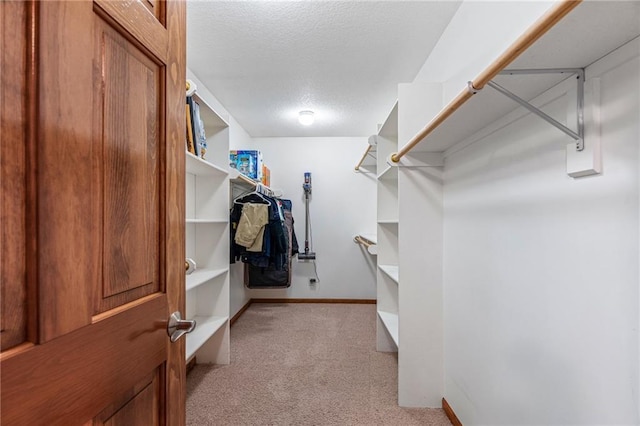 16011 Cedar St, Basehor, KS 66007 - walk in closet with light carpet