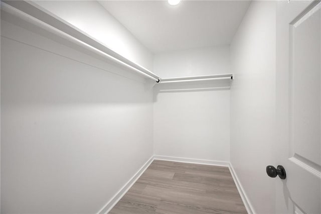 walk in closet with wood finished floors