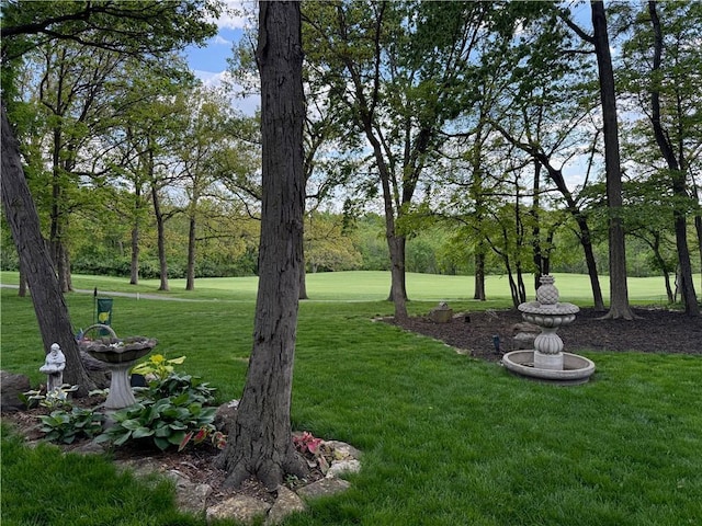 5316 NE Northgate Xing, Lees Summit, MO 64064 - view of grassy yard
