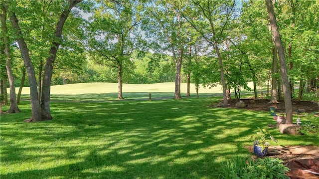 5316 NE Northgate Xing, Lees Summit, MO 64064 - view of grassy yard with view of scattered trees