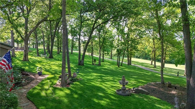 5316 NE Northgate Xing, Lees Summit, MO 64064 - view of green lawn with view of scattered trees